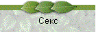 Секс