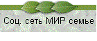 Соц. сеть МИР семье