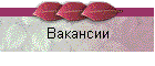 Вакансии